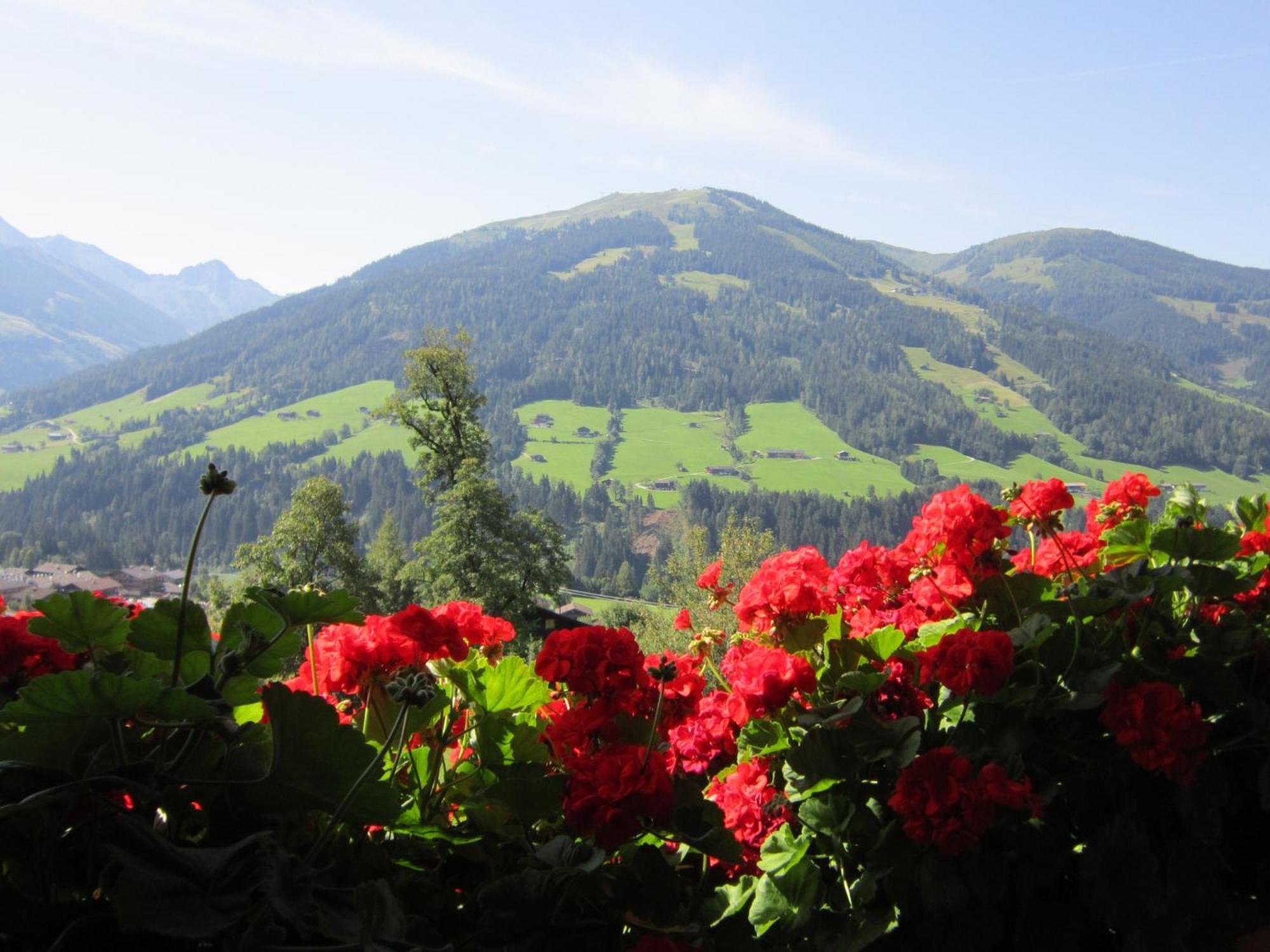 Alpbachblick Apartment Exterior photo